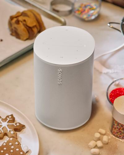 Portable wireless speaker